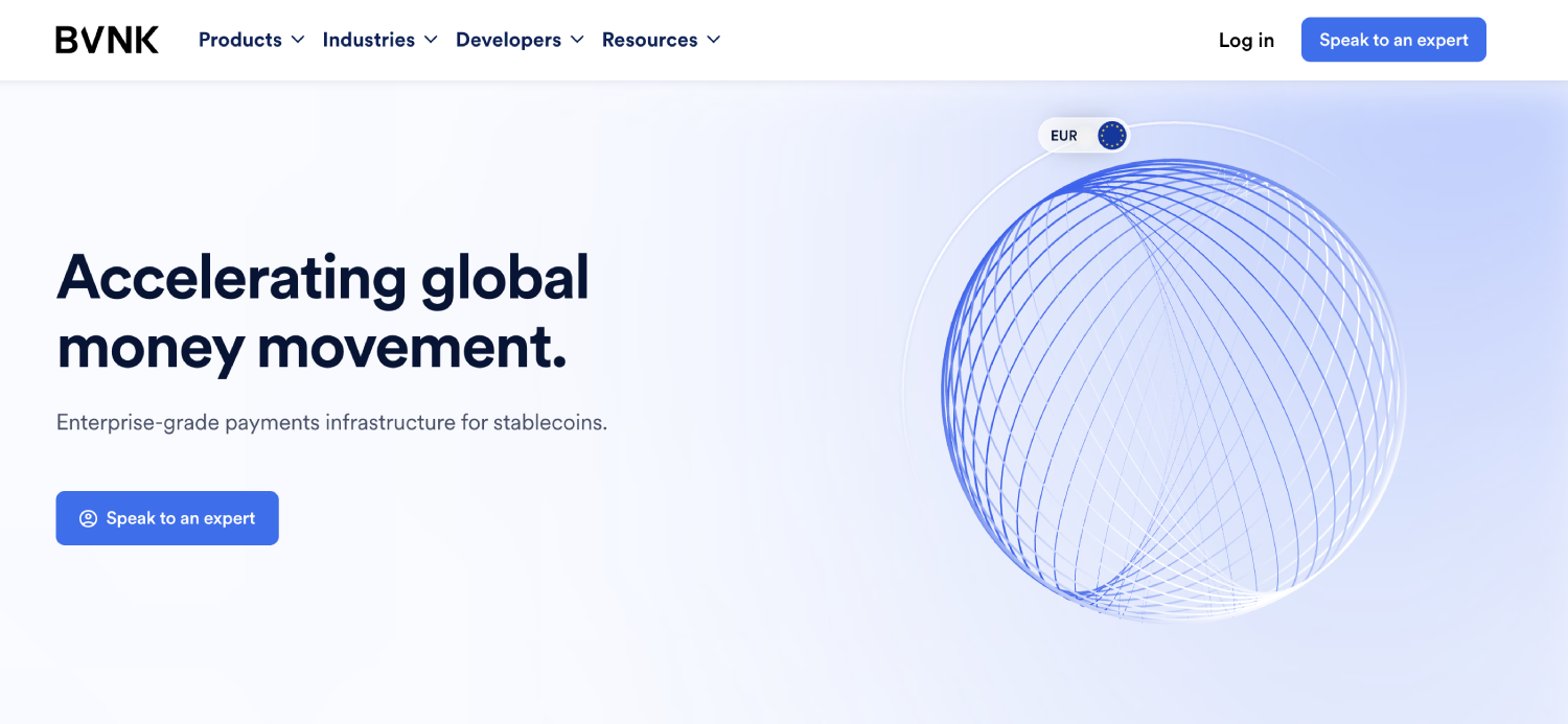 11 Best Stablecoin Infrastructure Providers for Fintechs and B2B SaaS in 2026 4 BVNK 1